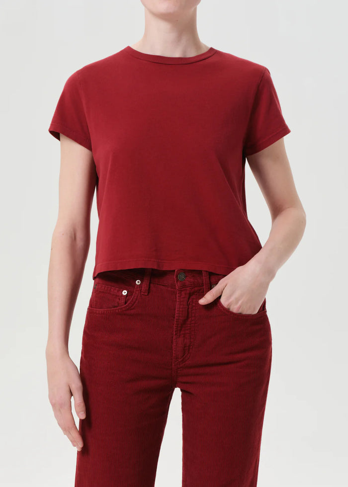 Agolde ADINE SHRUNKEN TEE IN BRICK