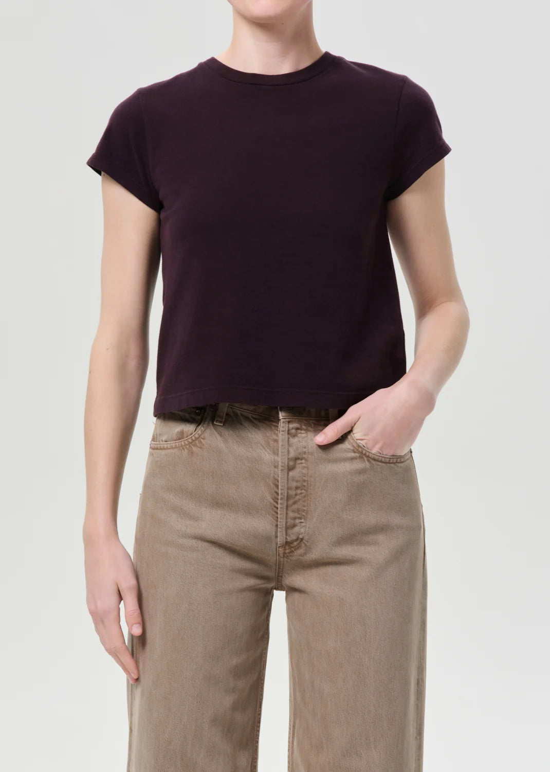 AGOLDE Adine Shrunken Tee In Eggplant
