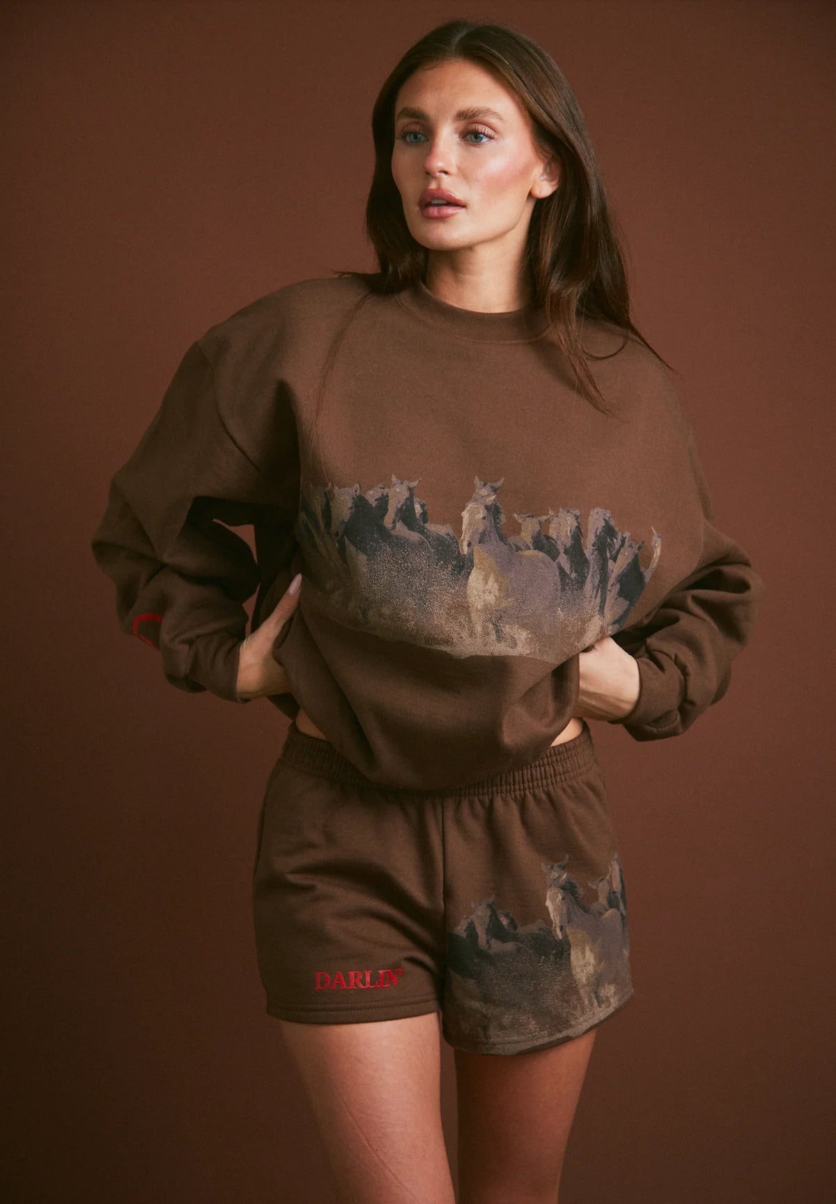 Darlin' WILD HORSE CREWNECK - TOBACCO