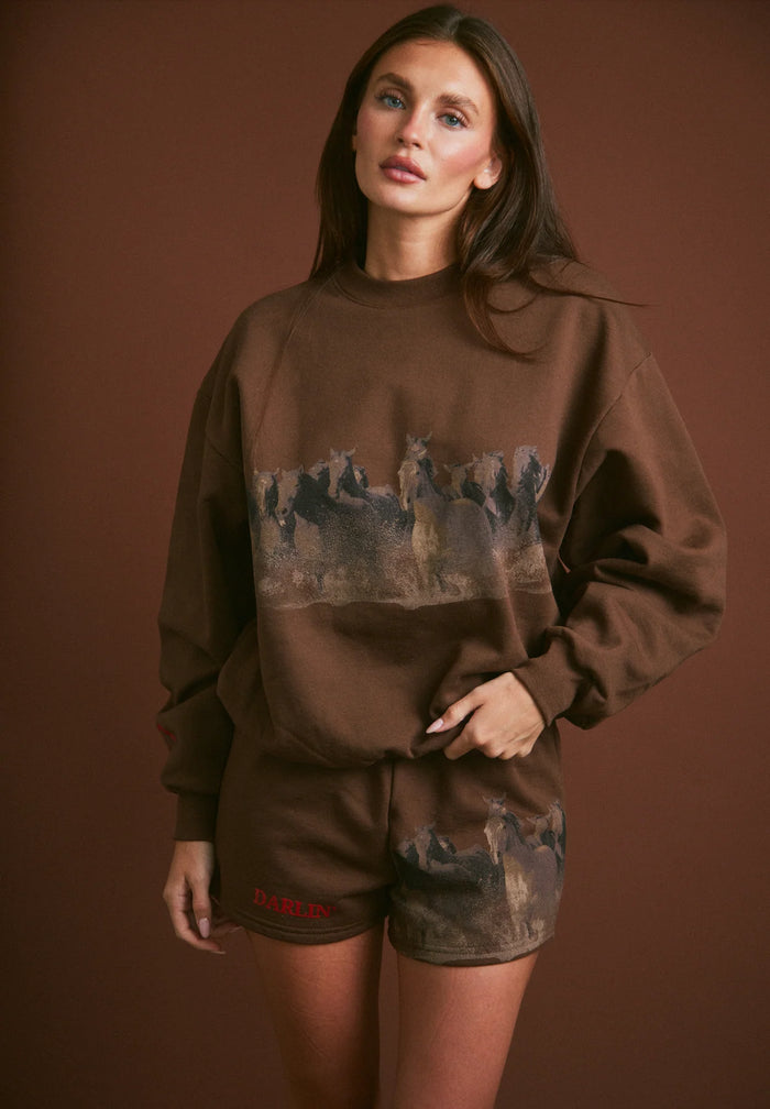 Darlin' WILD HORSE CREWNECK - TOBACCO